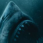 47 Meters Down Uncaged Review Kritik Concorde Horror Film Horrorfilm Shark